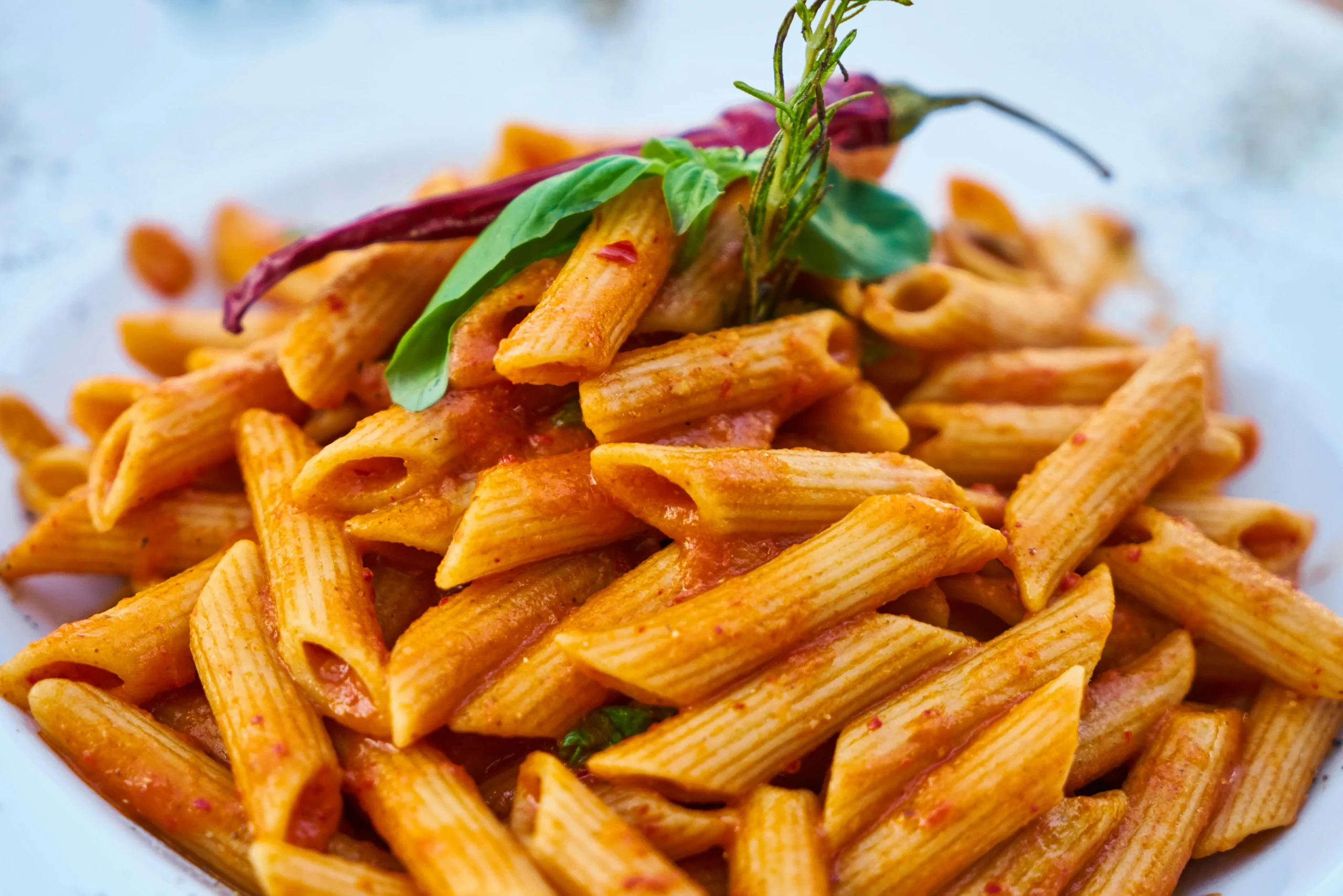 palomino sauce served over pasta