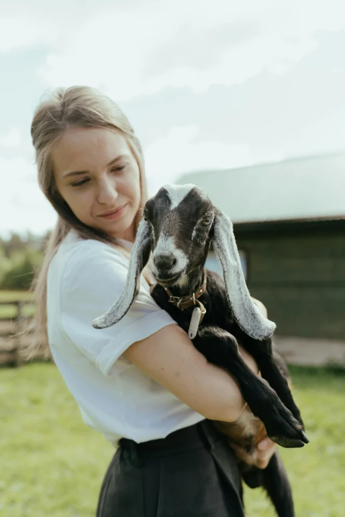 butter goat